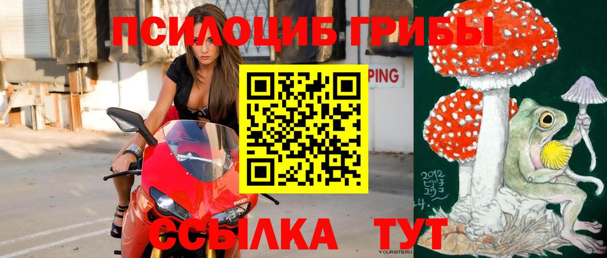 Псилоцибиновые грибы Cubensis  Вход с VPN  цена наркотик  Кунгур 